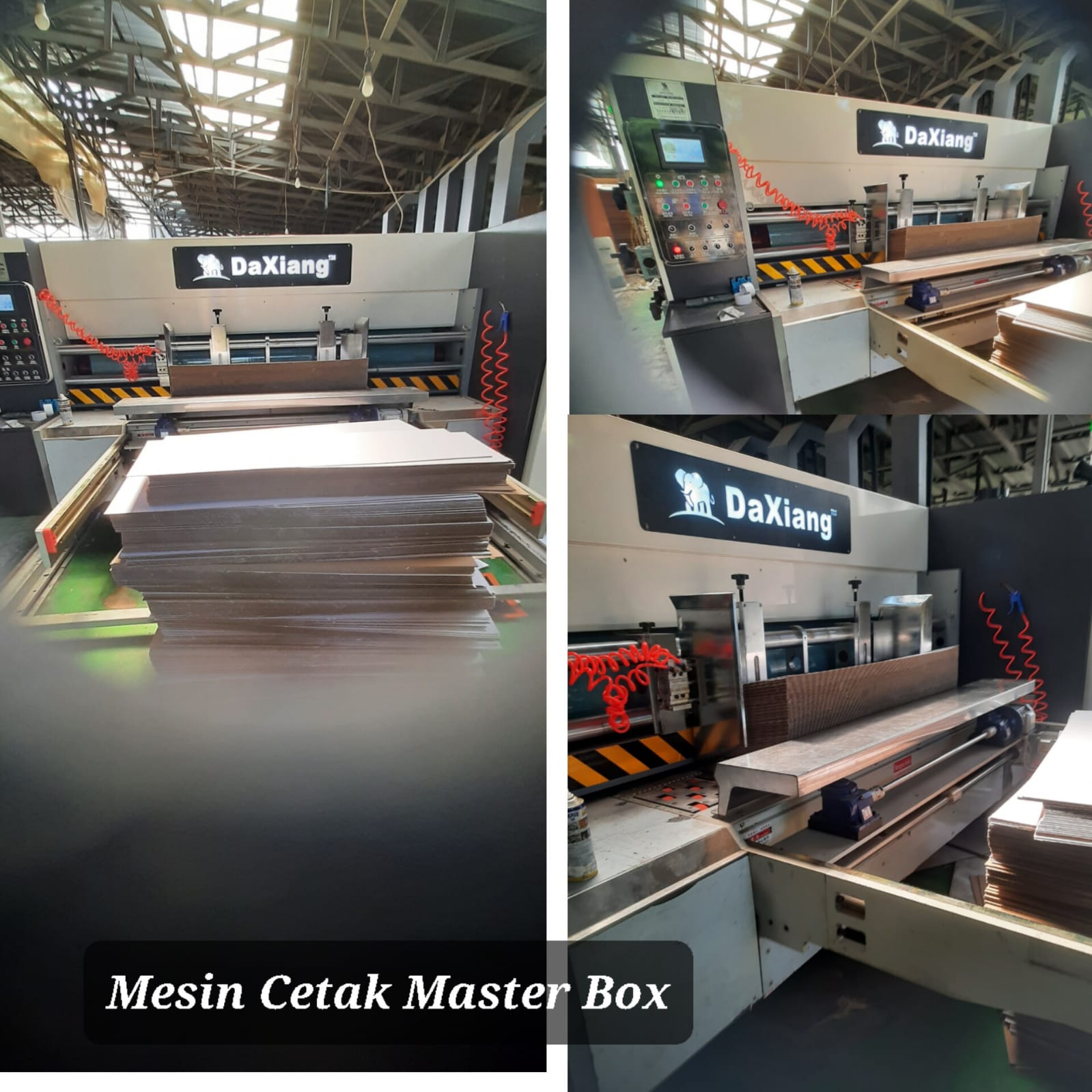 Cetak Master Box 4